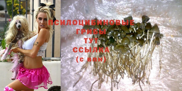 стафф Володарск