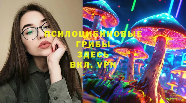 стафф Володарск
