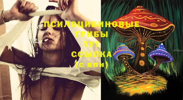 молекула духа Волосово