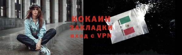 стафф Володарск