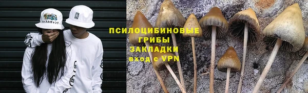 стафф Володарск