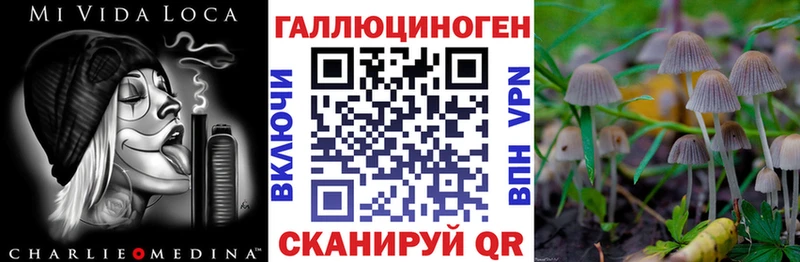 Галлюциногенные грибы ЛСД  наркота  Советская Гавань 