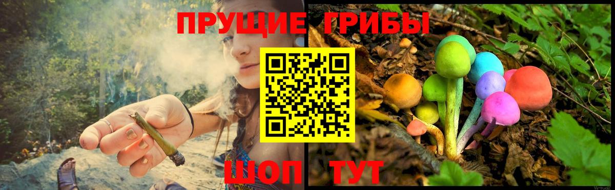 Советская Гавань  Галлюциногенные грибы Magic Shrooms  цены   Псилоцибиновые грибы прущие грибы  Вход с VPN 