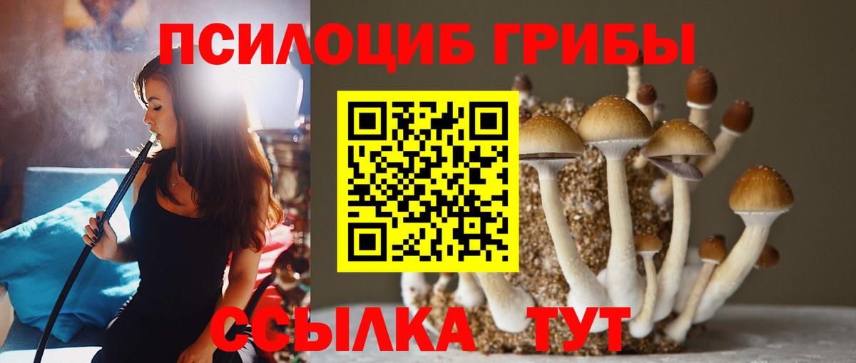 Псилоцибиновые грибы Cubensis Советская Гавань