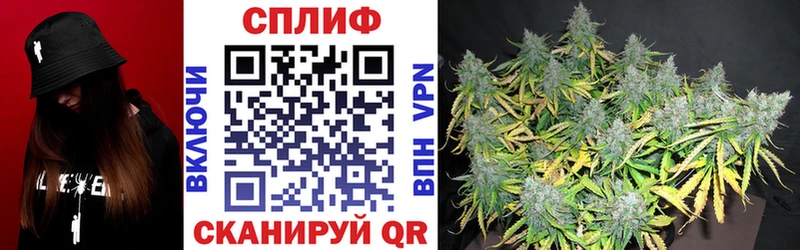 Шишки марихуана MAZAR  мориарти Telegram  Советская Гавань  что такое  